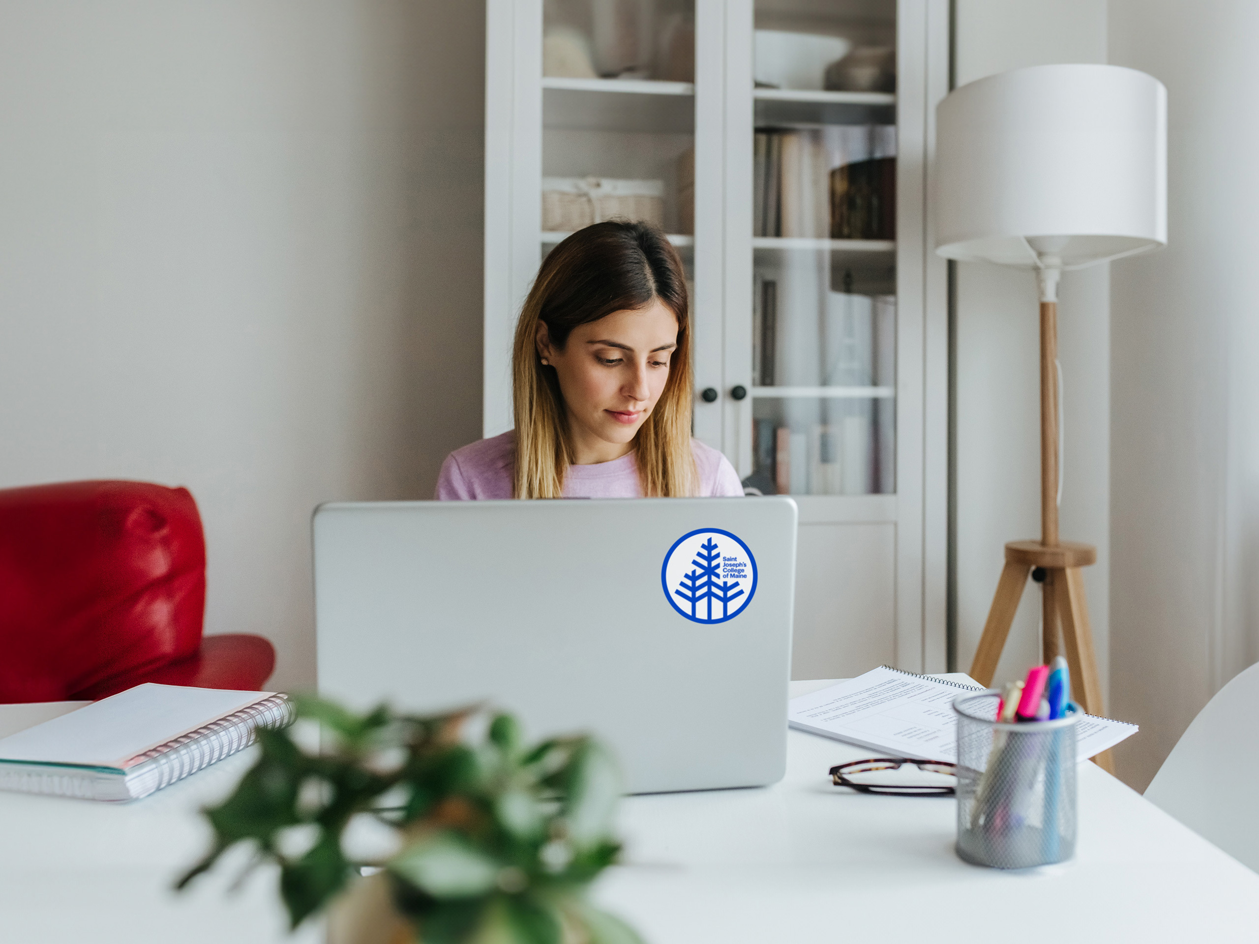 Explore our SJC Online programs