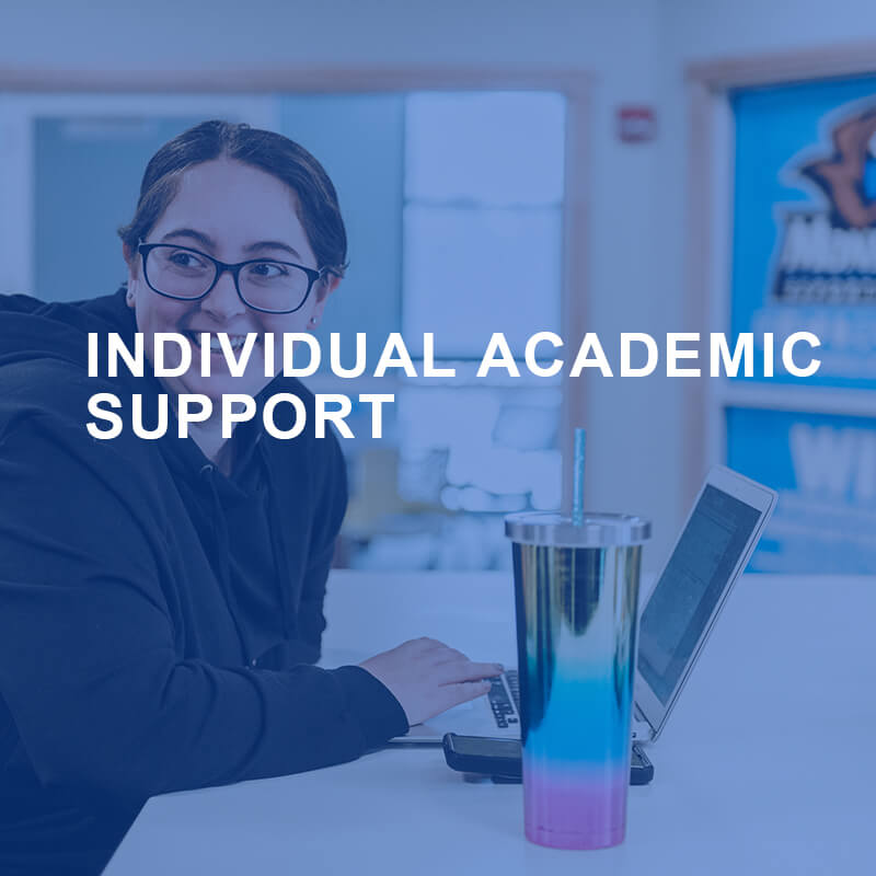 Indvidual Academic Support