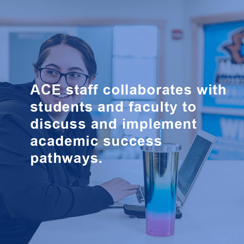 Indvidual Academic Support