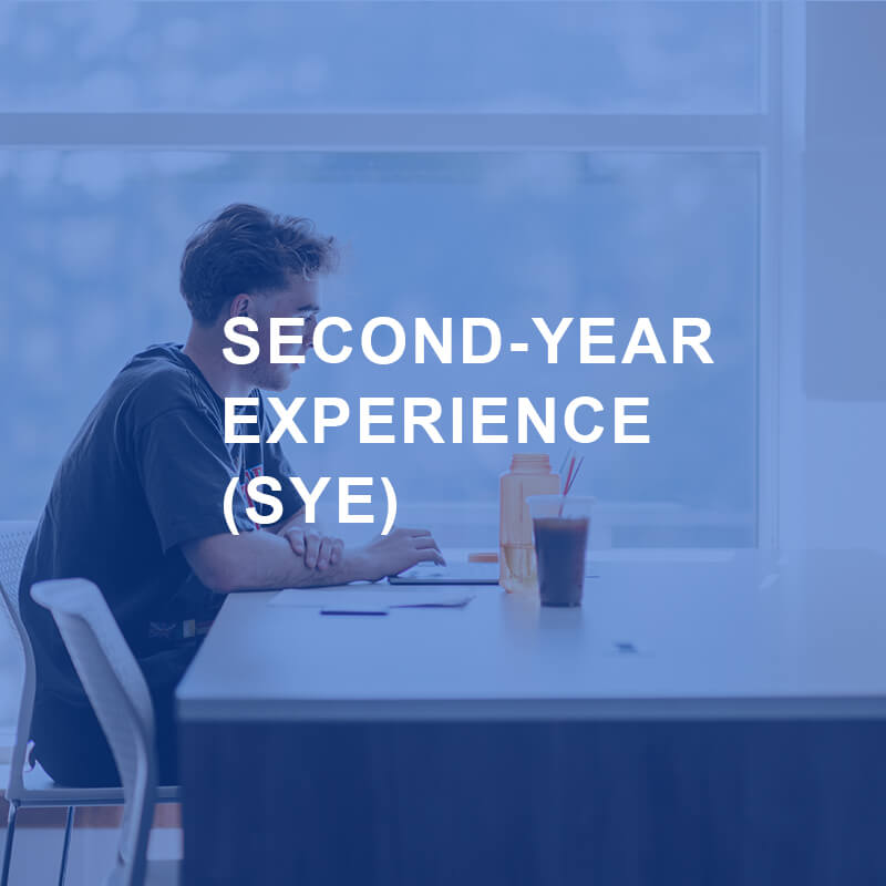 Second-Year Experience (SYE)