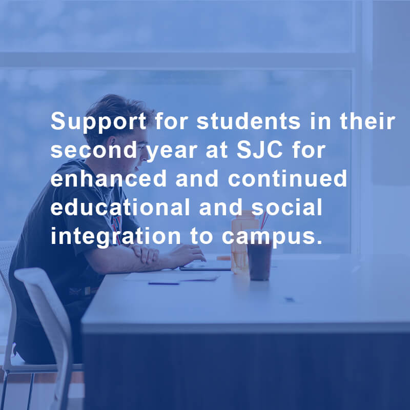 Second-Year Experience (SYE)