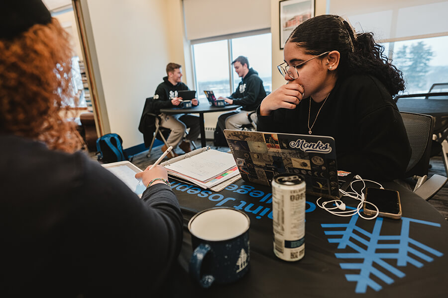 Students studying in the Academic Center for Excellence