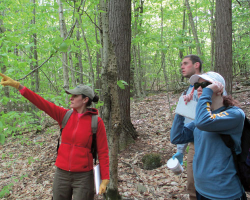 Three people in outdoor gear are in a forest. One person is pointing, another is writing in a notebook, and the third is looking through binoculars. Trees and green foliage surround them as they venture "Into the Wild. Saint Joseph's College of Maine