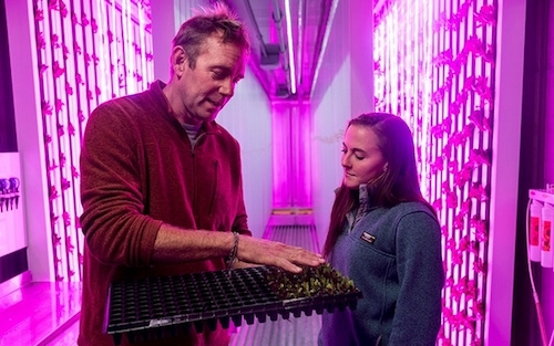 Two people from Saint Joseph's College are examining a tray of seedlings in an indoor vertical farm with purple grow lights, part of the Portland Region Food Foundry initiative. Saint Joseph's College of Maine