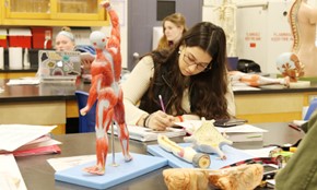 Saint Joseph’s College and Northeast College of Health Sciences Renew Articulation Agreement for Doctor of Chiropractic Program, Expand to Include Sciences Department 3 Students in a classroom study human anatomy, with one person focusing on writing notes and a detailed anatomical model of muscles prominently displayed on the desk, preparing for the rigorous Doctor of Chiropractic Program at Northeast College of Health Sciences. Saint Joseph's College of Maine