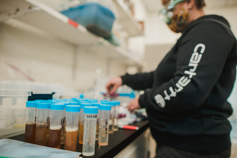 Community-Based Learning 3 A student analyzes water samples for the Little Sebago Lake Association lake health