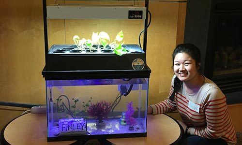 nhu-vo-aquarium
