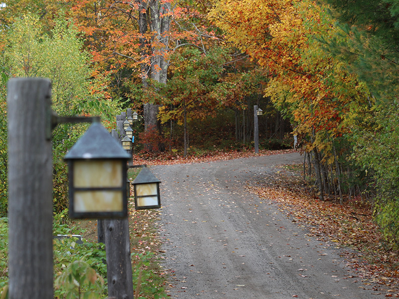 walking path down to the lake with fall foliage