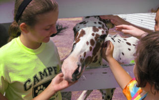 MSSPA camper pets horse