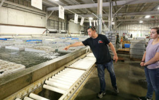 A man in a black shirt points at fish tanks inside a large industrial facility while discussing lobster research with two people standing nearby, highlighting the industry-higher education collaboration with Saint Joseph’s College. Saint Joseph's College of Maine
