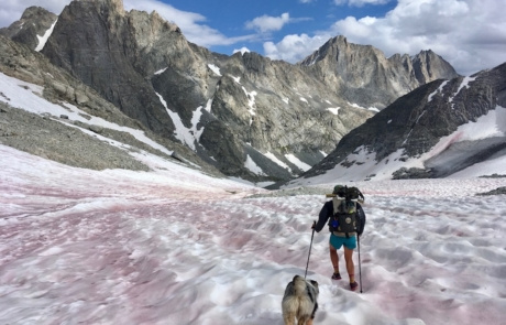 Effie and Luna hikes through snow towards large granite peaks.