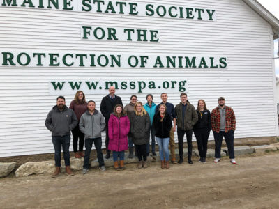 Partnership With Horse Farm Offers Hands-On Learning 2 SJC Honors Capstone Experience