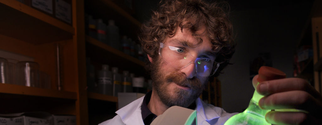 A member of the sciences faculty, wearing safety glasses and a lab coat, examines a flask with glowing green liquid in a laboratory. Shelves with various containers are visible in the background. Saint Joseph's College of Maine