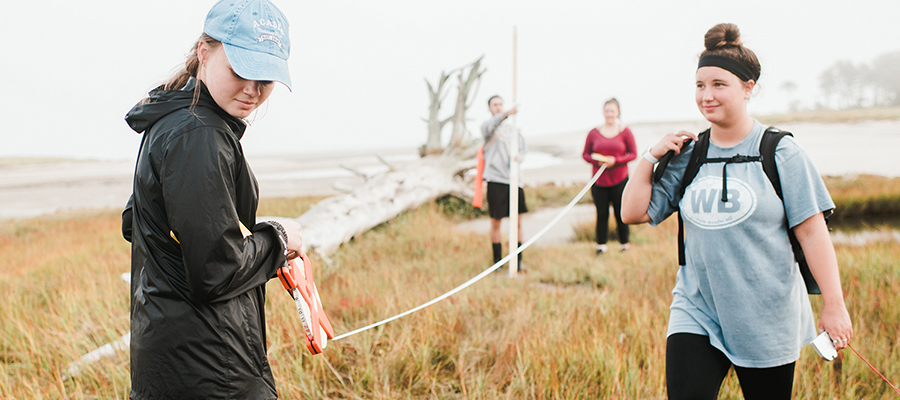 Four people, wearing casual outdoor clothing, conduct field measurements with a tape measure in a grassy, coastal area with fallen trees and distant shoreline visible in the background. Their work is part of redesigned study programs focusing on environmental assessment. Saint Joseph's College of Maine