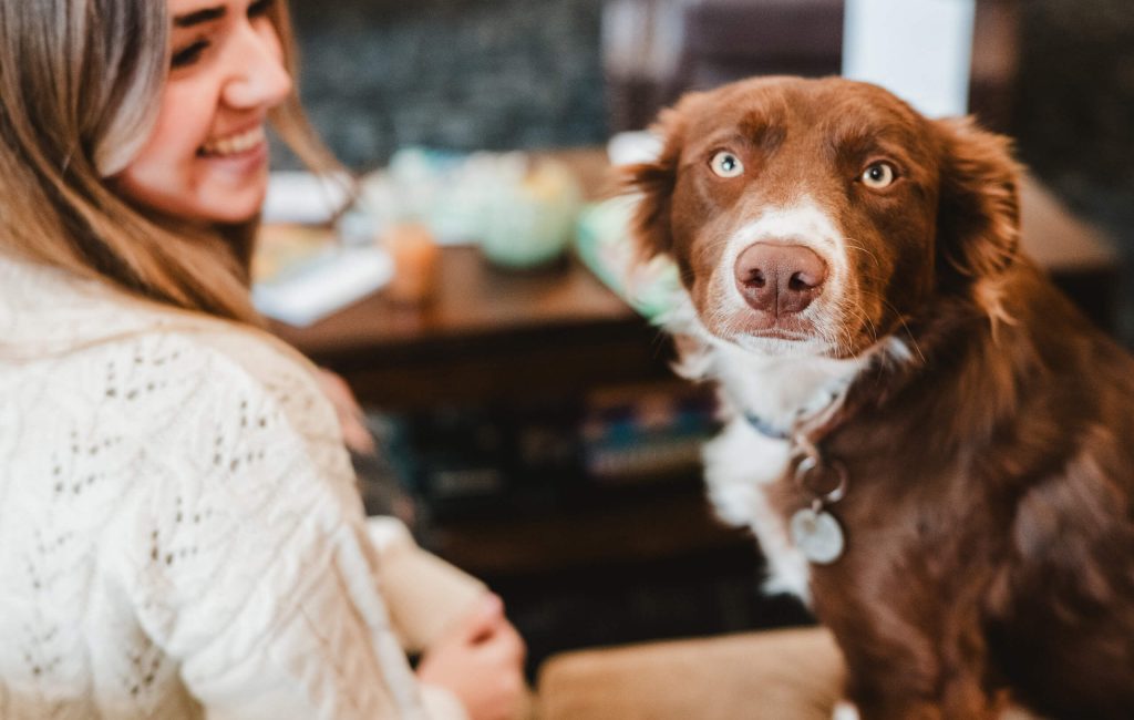 Pet-friendly campus: student with a canine companion