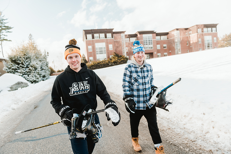 ice skate or play hockey on our pond