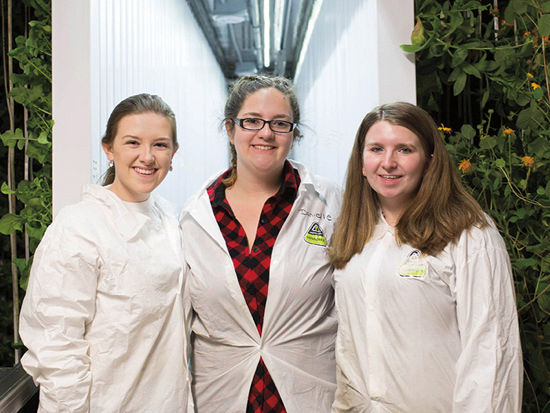 Student Trio Operates Freight Farm