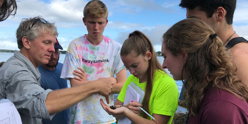 Marine Science students in the field at the ocean