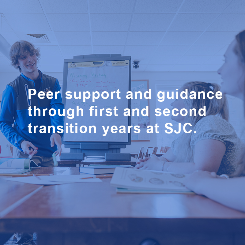 Academic Center For Excellence 12 peer mentor program graphic 2