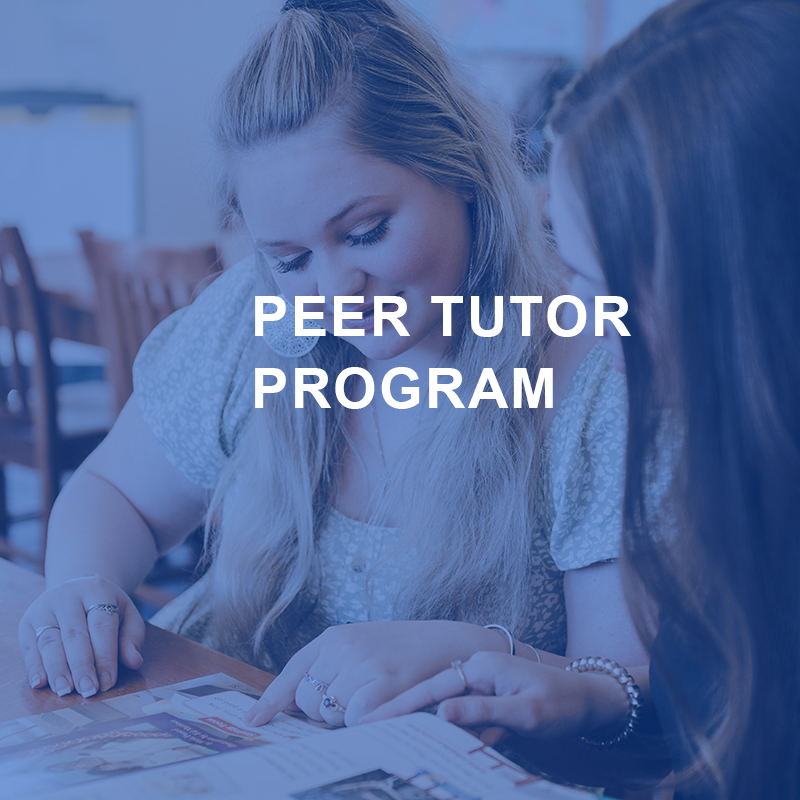 Academic Center For Excellence 9 peer tutor program graphic
