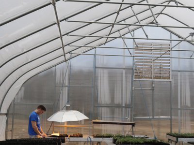 Tyler Barrows in the hoop house