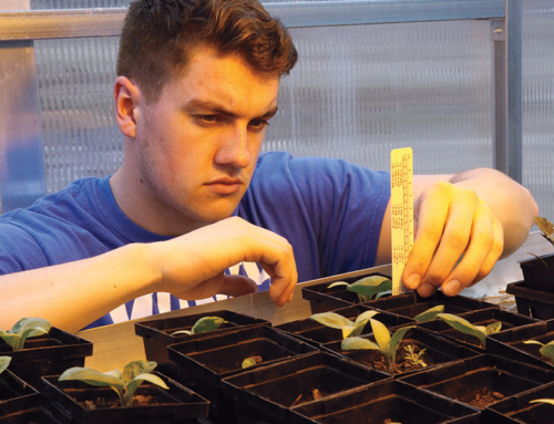 Farm Offers Experiential  Learning Opportunity